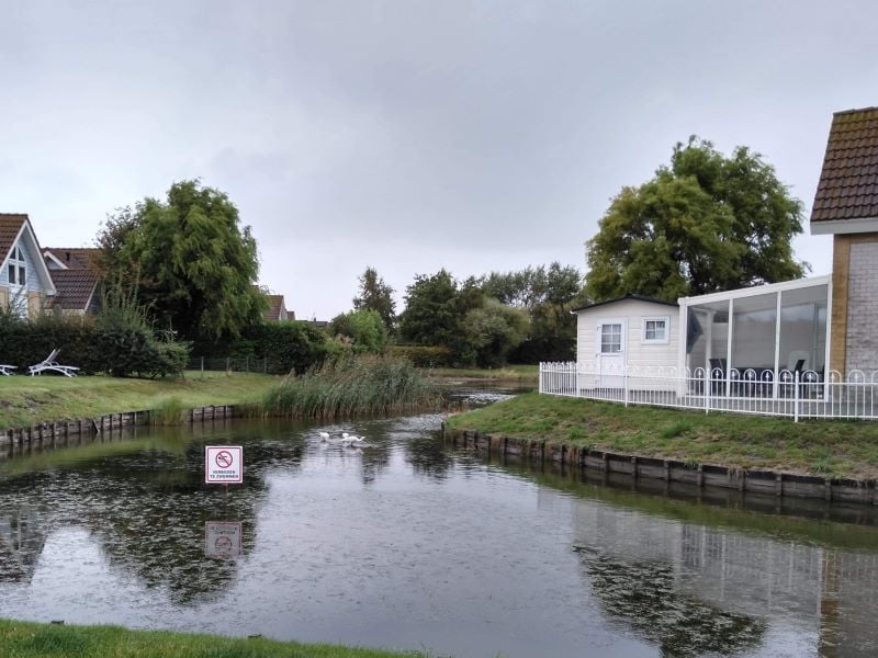 Lepelaars in de waterpartijen van Noordzee Résidence de Banjaard